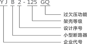 1737013867162889.jpg 3.09.jpg